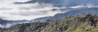 MountKinabalu_0168_m