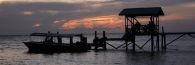 TurtleIsland_0048