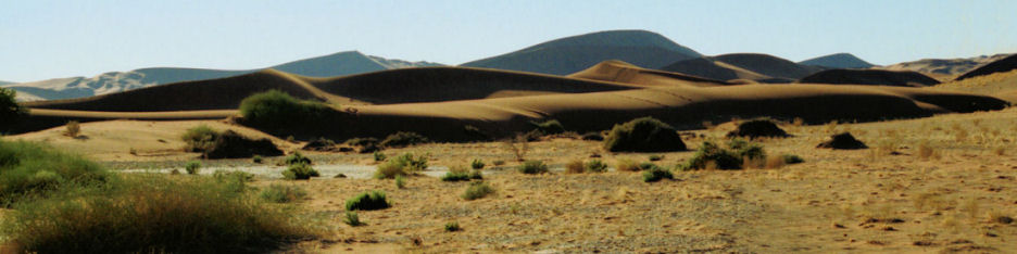 NamibNaukluftNationalPark40Nearby_4000_.jpg