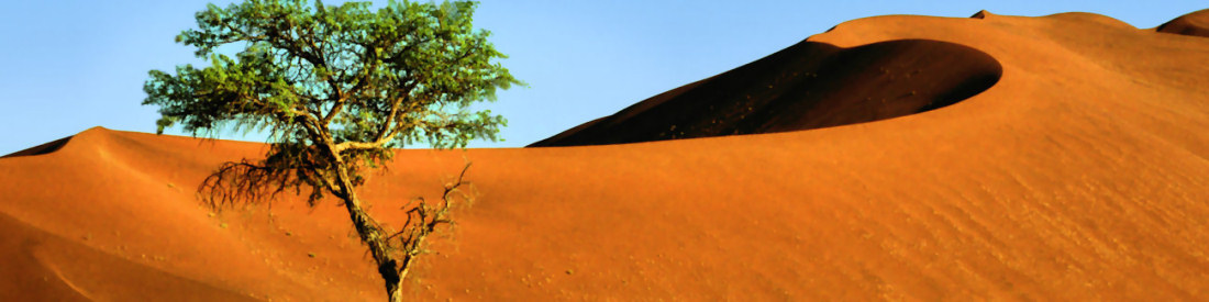 NamibNaukluftNationalPark47_4000_.jpg