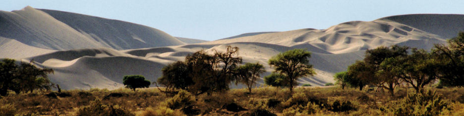 NamibNaukluftNationalPark52Nearby_4000_.jpg