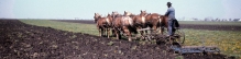 Amish3