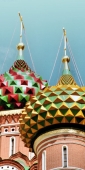 StBasil's6D
