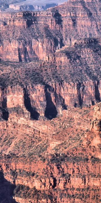 Arizona_GrandCanyon_6_NorthRim_BrightAngelPoint_7am_g.jpg