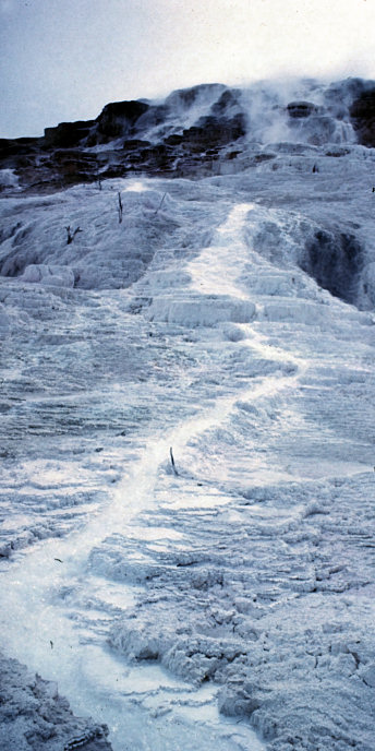 Wyoming_24_Yellowstone_MammothHotSprings_NaiadSprings.jpg