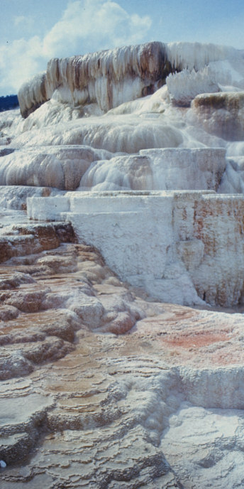 Wyoming_25_Yellowstone_MammothHotSprings_MinervaDetail.jpg