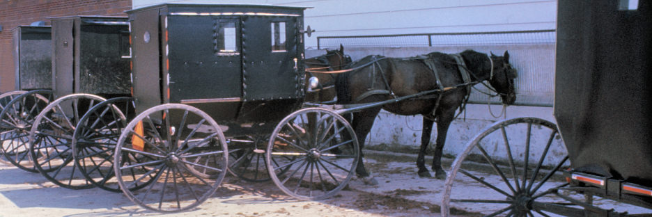 Amish1.jpg