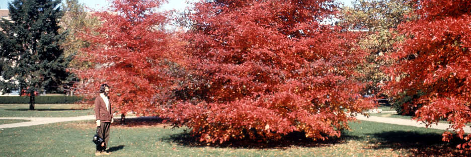 Illinois_16b_UrbanaChampagne_UofI_CrnGreen&Wright_g.jpg