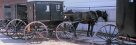 Amish1