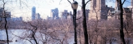 NewYork_29_CentralPark